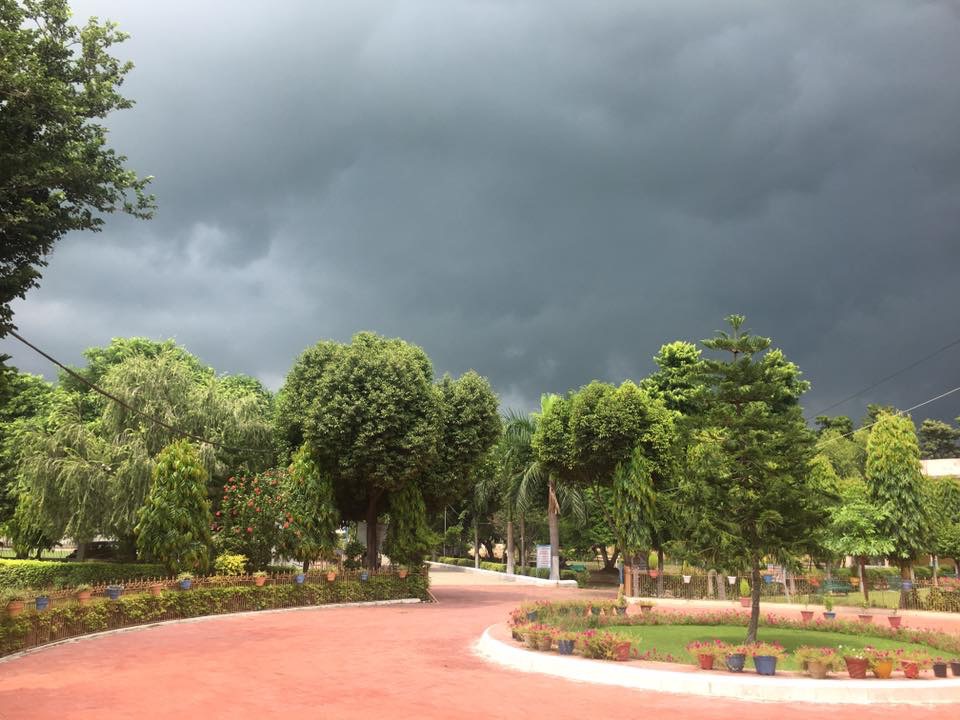 CAMPUS VIEW